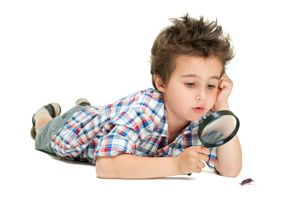 Boy uses magnifying glass looking at bugs